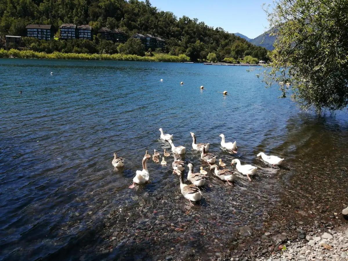 Depto Parque Pinares Frente Al Lago, Primera Linea, Nuevo * Pucón